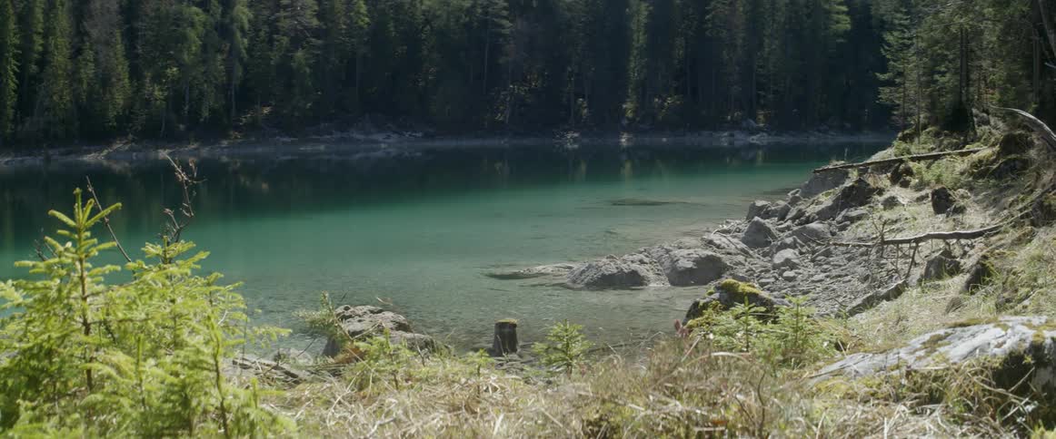 Shallow pond in the wilderness on a cloudy day