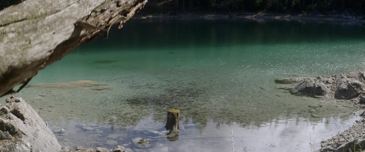 Blue water glistens from the sunshine in a lake