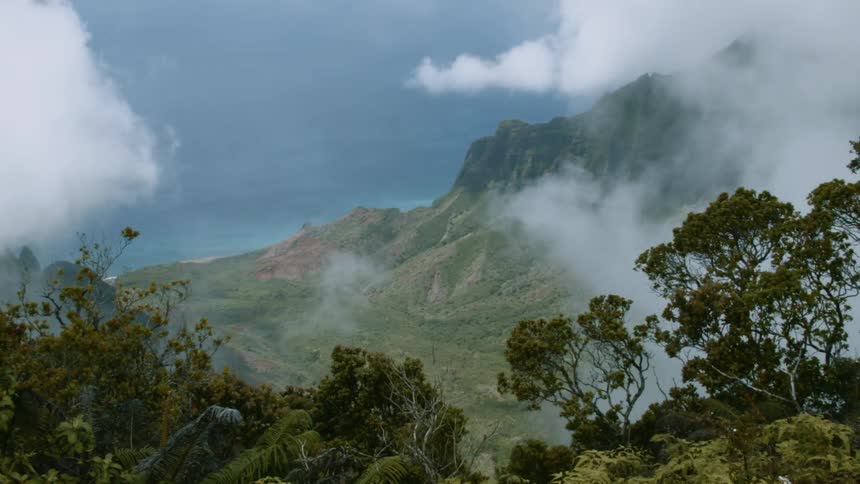 Clouds pass over tree tops and cliff
