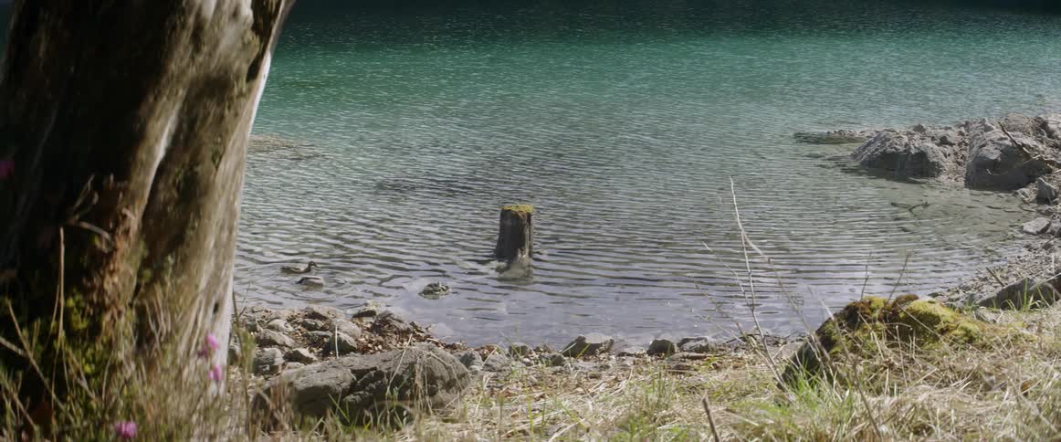 Water ripples on a lake
