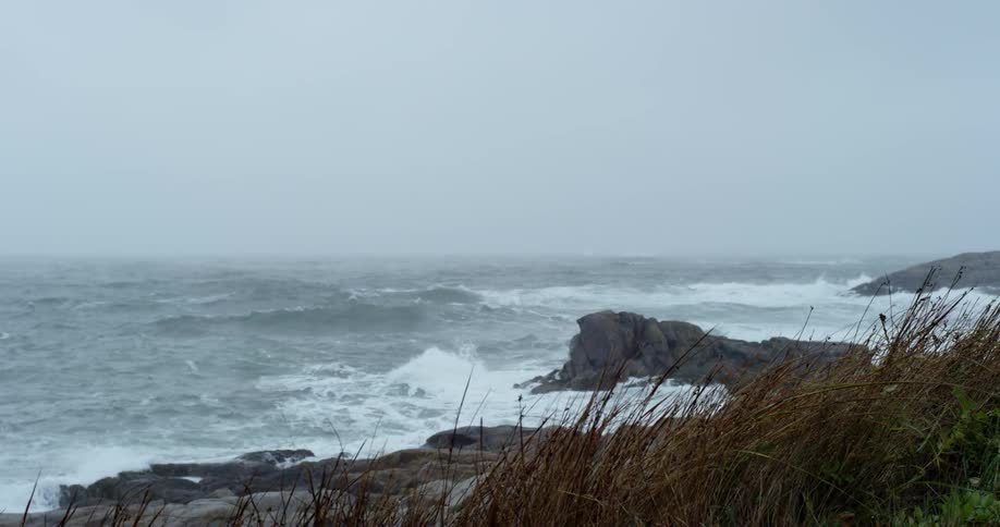 Waves crashing on a rocky shore