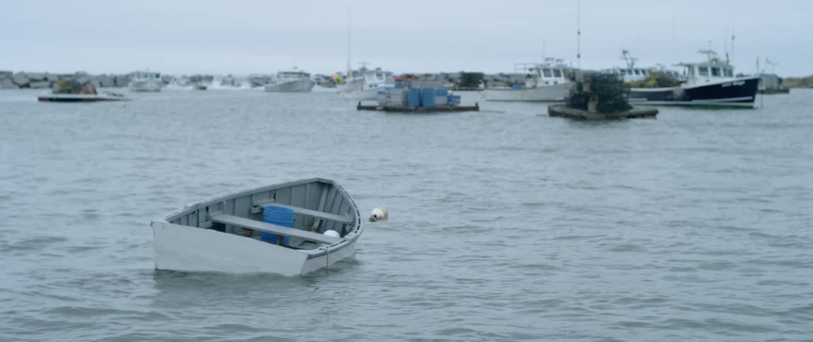 Empty bloats float docked by the shore