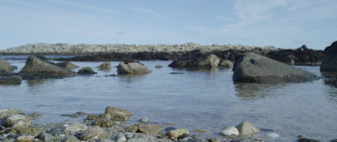 Water flowing around rocks in a small pool