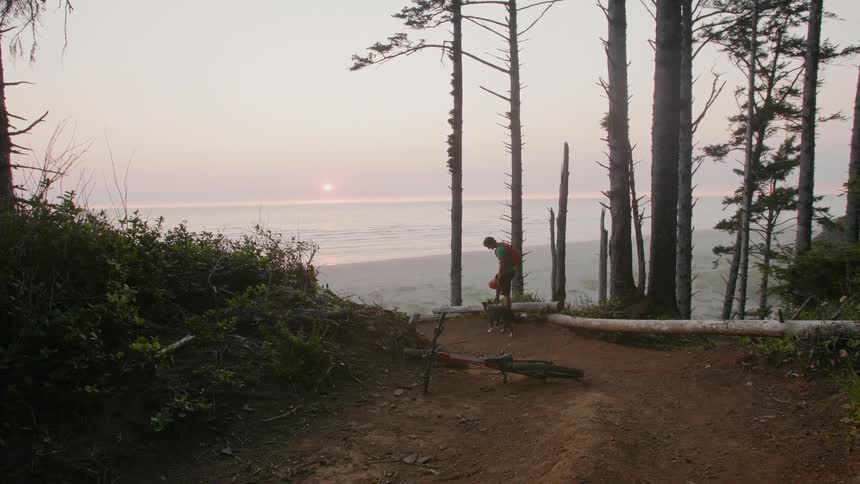 A man and his dog stand on top of a hill by the shore