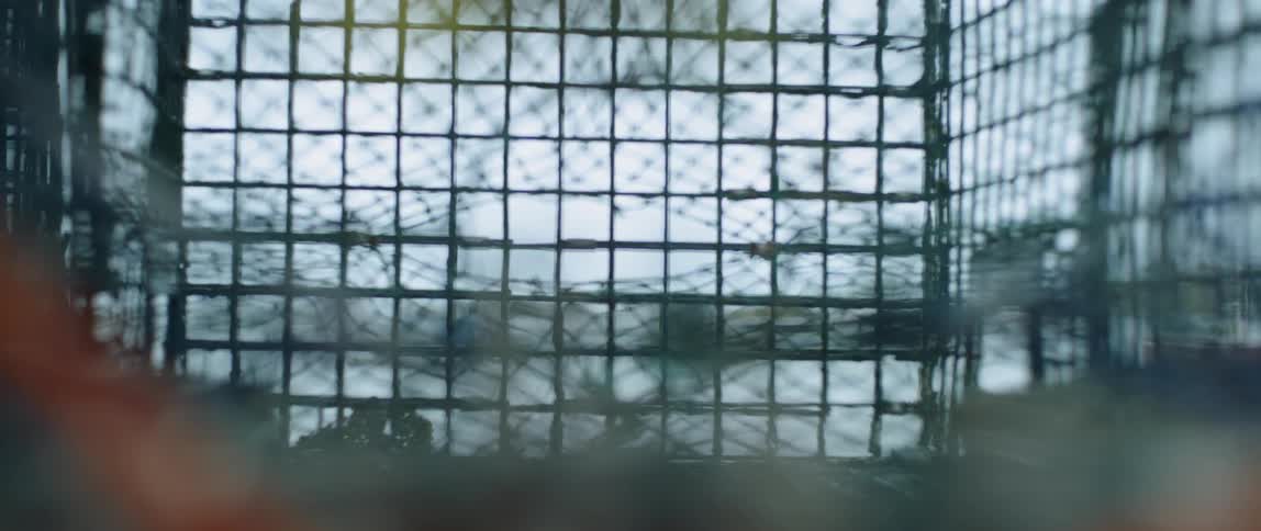 Boats rocking on the water as seen through a screen