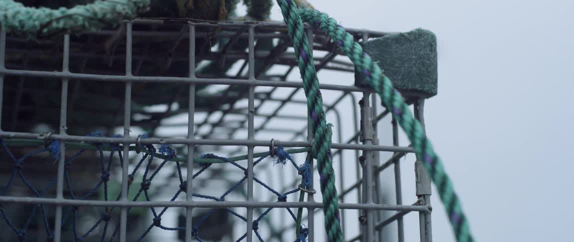Green rope sitting on a cage