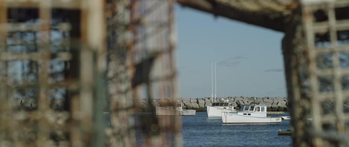 Boats are floating near a jetty in a harbor on a sunny day
