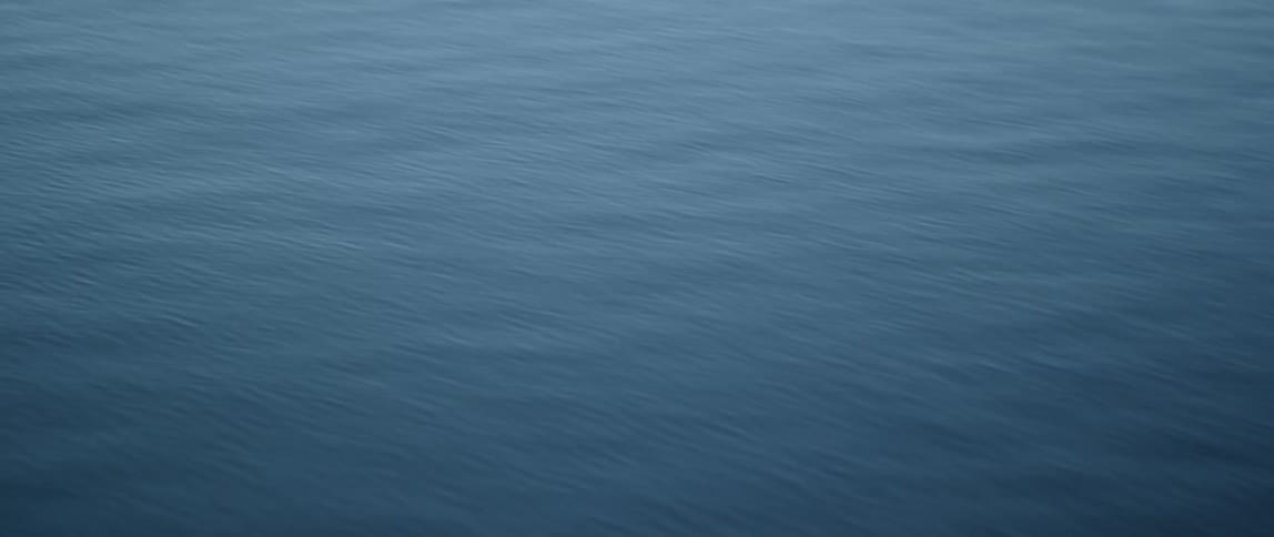 Small waves travel atop the water