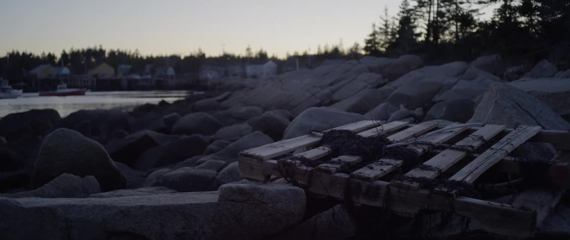 Seaweed sits on top of a wooden pallet on the rocky shore