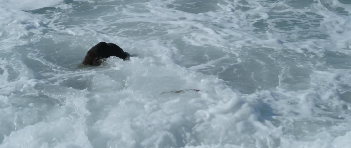 Ocean waves splash over rocks