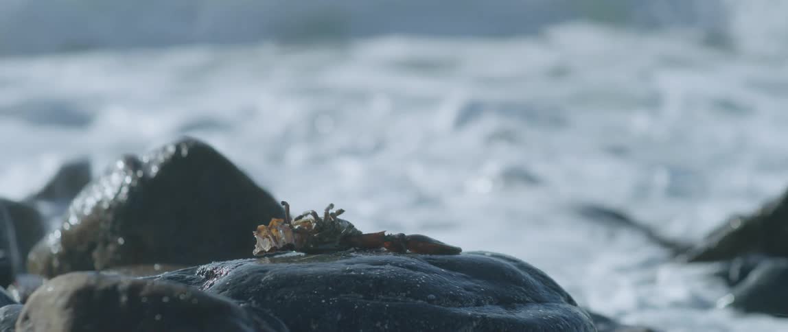Ocean waves crash into rocks