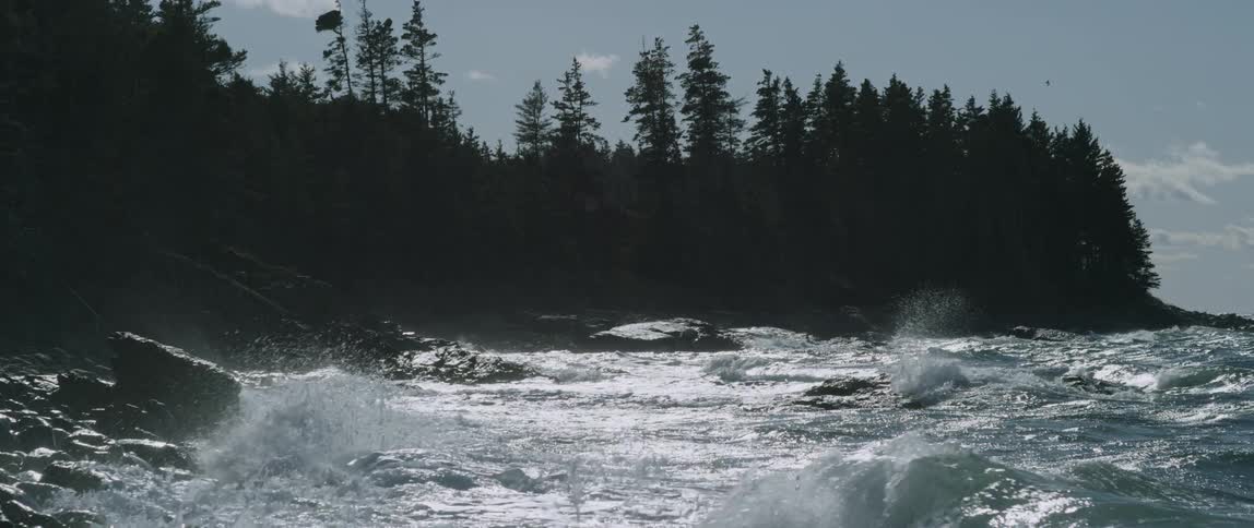 Large waves are crashing ashore next to a forest