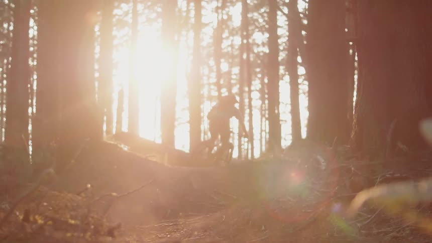 A dog runs after a man riding a mountain bike on a trail