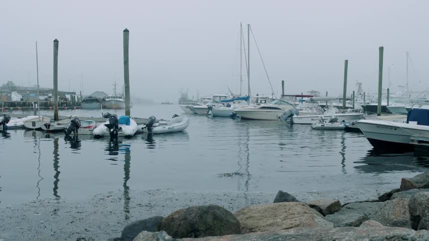 Boats sit docked on the water