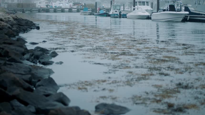 Boats sit docked on the water