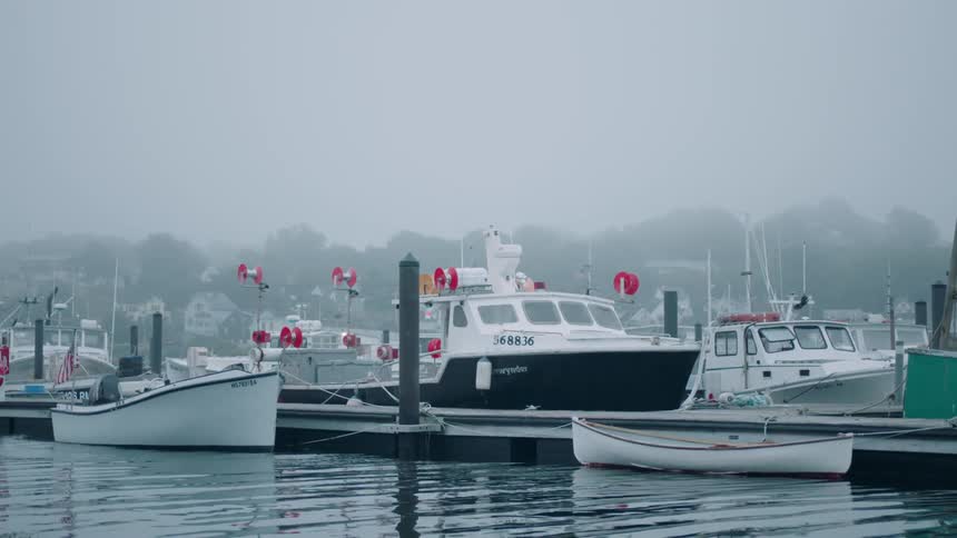 Boats parked in a harbor on a cloudy day