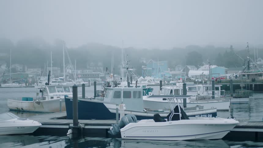 Boats parked in a harbor on a cloudy day