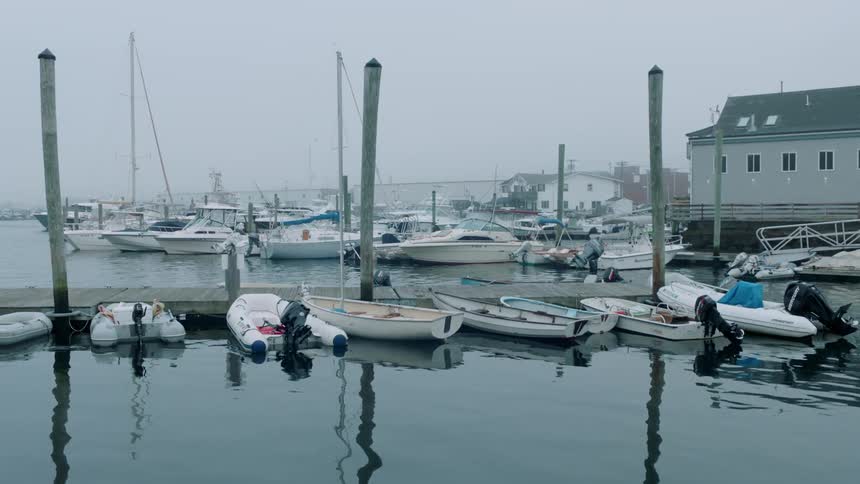 Boats sit docked on the water