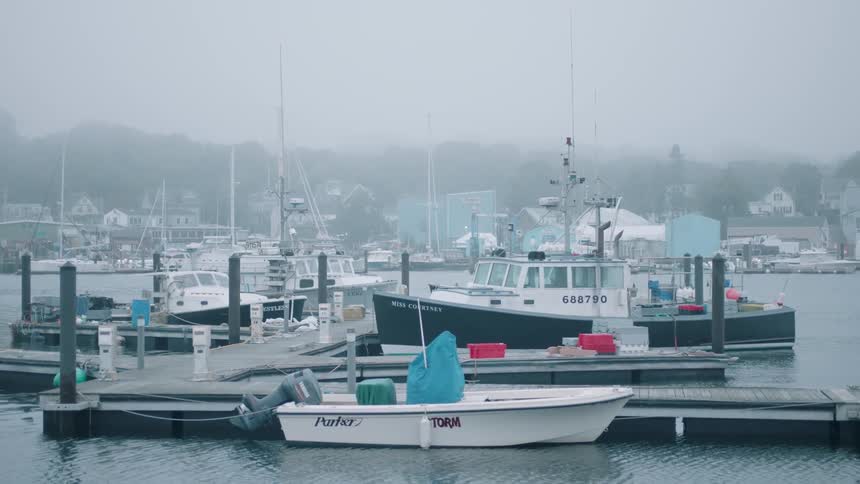 Boats docked at a marina