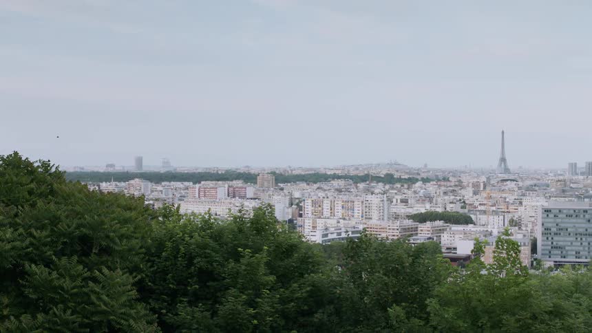 Trees overlooking many buildings in a city