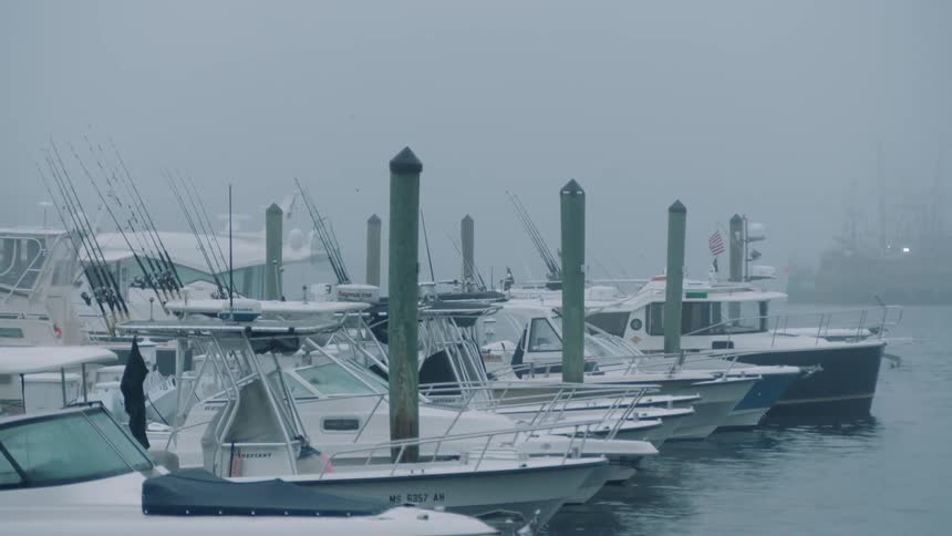 Boats in their slips on a very overcast day