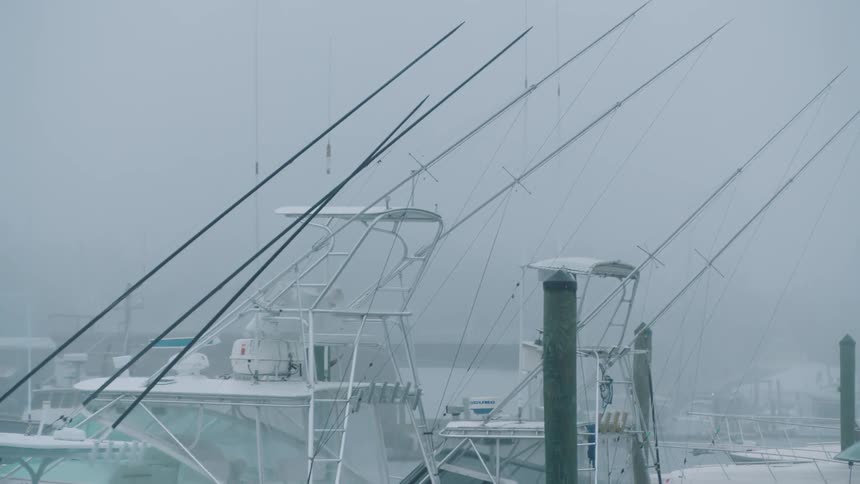 Boats are docked in a marina on a cloudy day