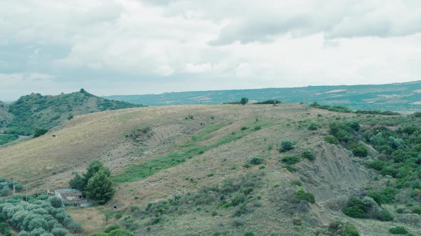 Shrubs cover a hillside