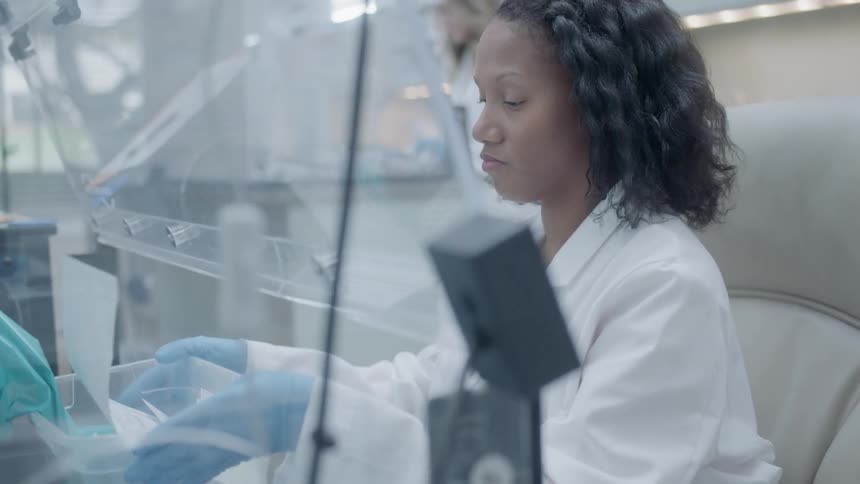 A scientist works in a laboratory