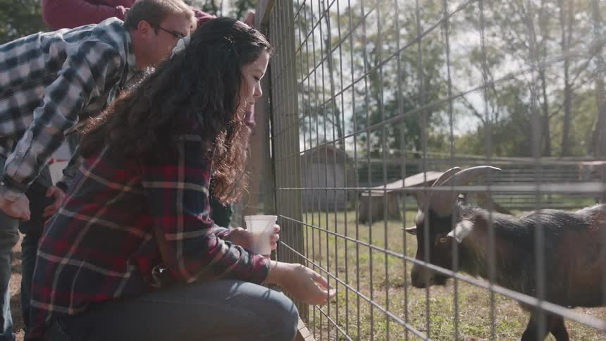 People look at a goat in a pen