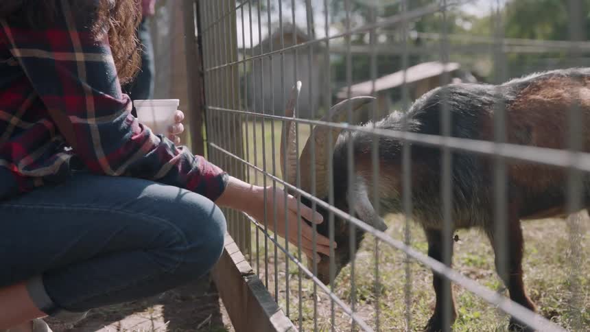A woman pets a goat through a wire fence