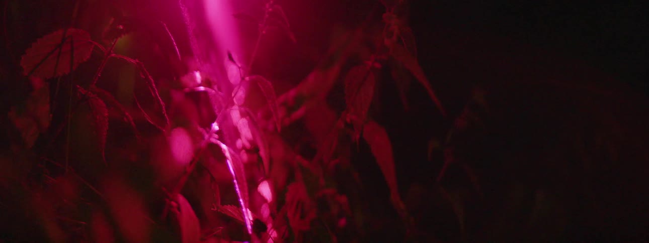 A laser flashes in the dark