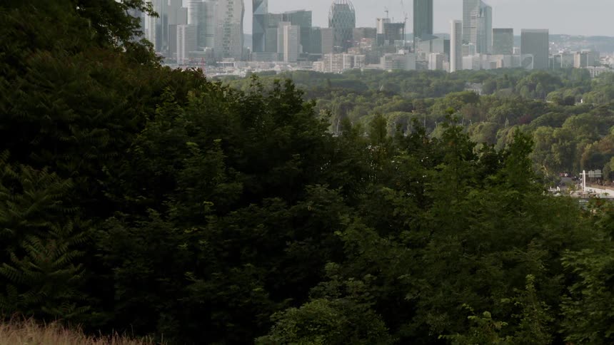 Wind blows the trees overlooking the city skyline