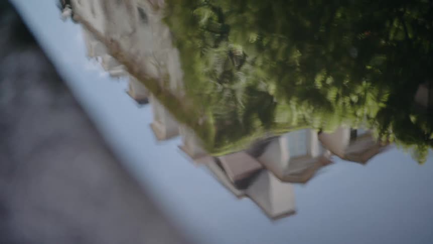 Reflection of tree and a building in a pool of water
