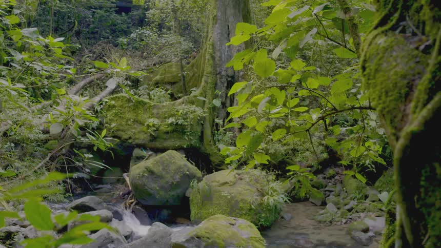 Water flowing rapidly down a stream