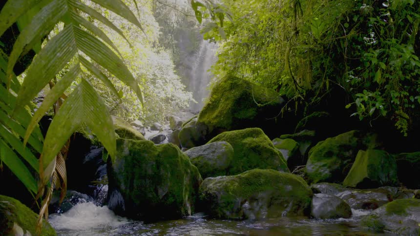 Water flowing down a waterfall and crashing over rocks