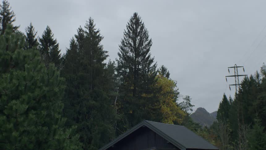 A building sits next to tall trees