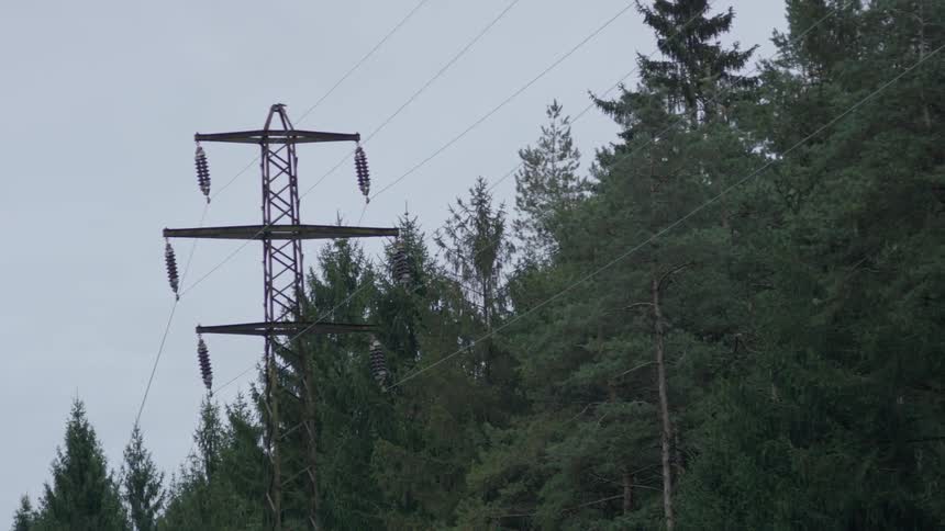 A power line stands near trees