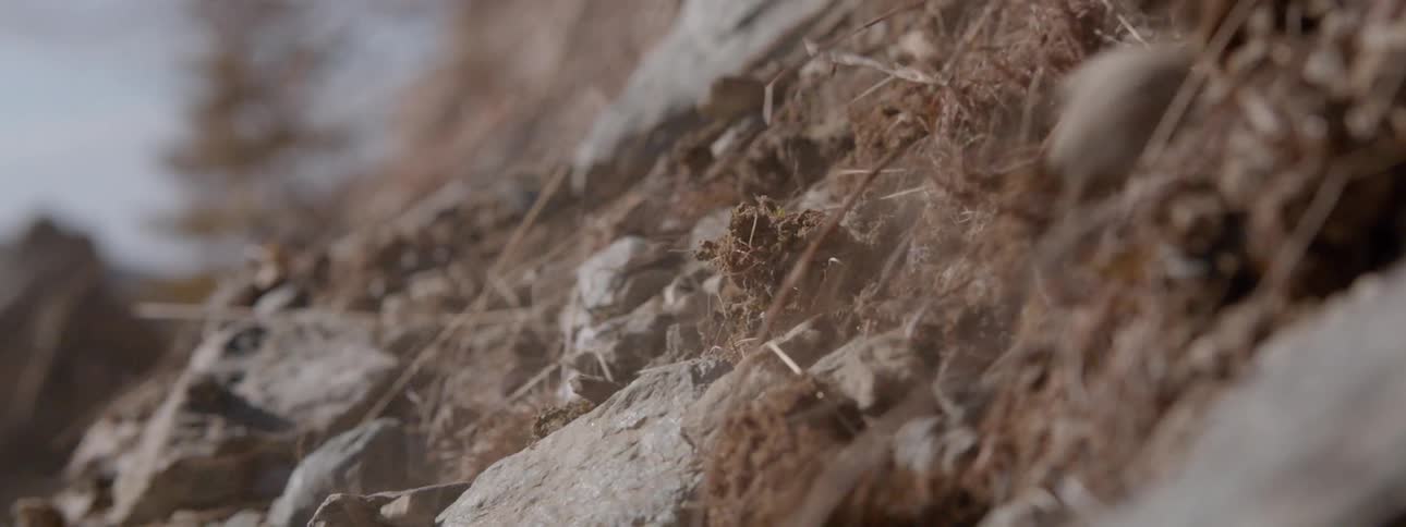 The rocks and dirt fall down the hill