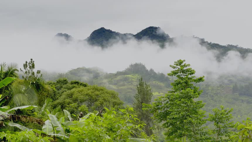 Clouds over green rainforest and mountain