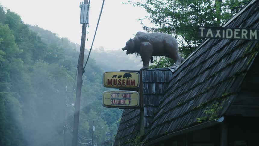 A taxidermist and museum are located in a rural area