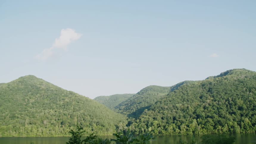 Trees cover a hilly landscape