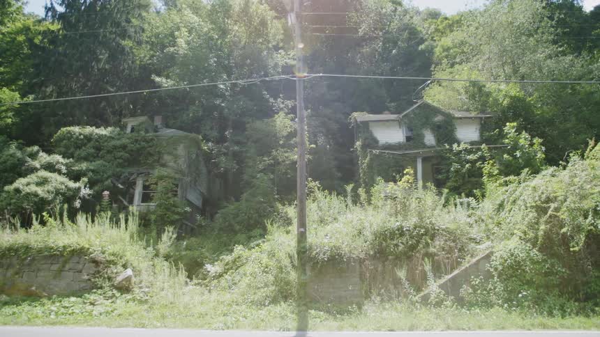 Weeds and plants are overgrowing buildings in a rural setting during the day