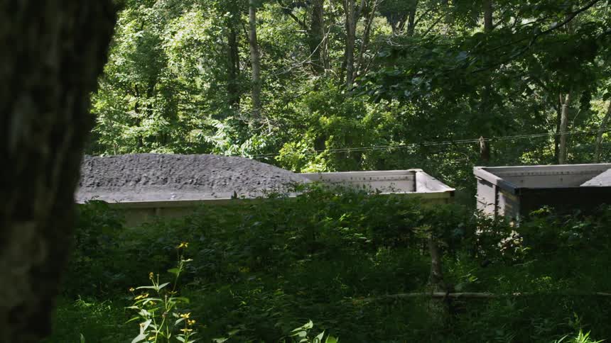 Train hauling black stone passes through the woods
