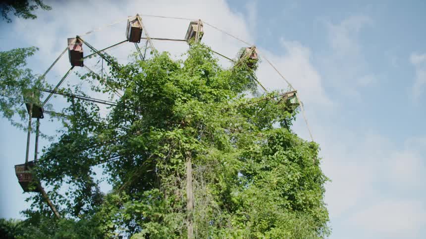 Vines and branches have grown over a ferris wheel abandoned amusement park