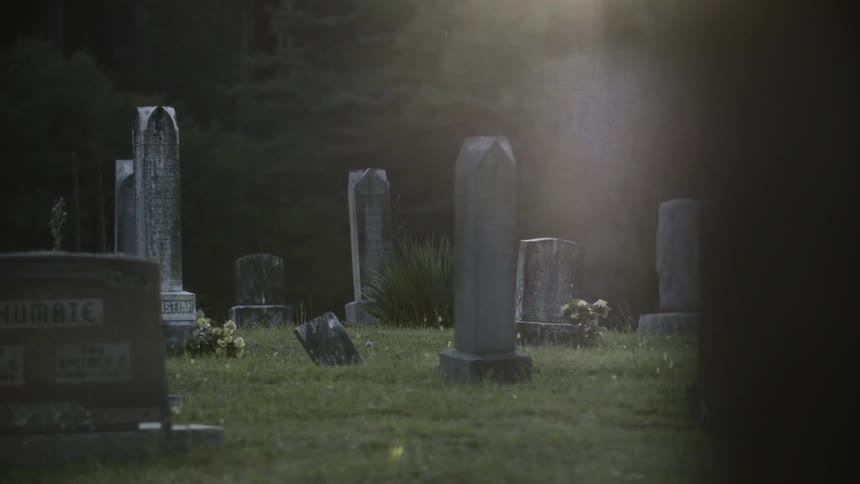 Sunlight is shining down on headstones in a cemetery during the day