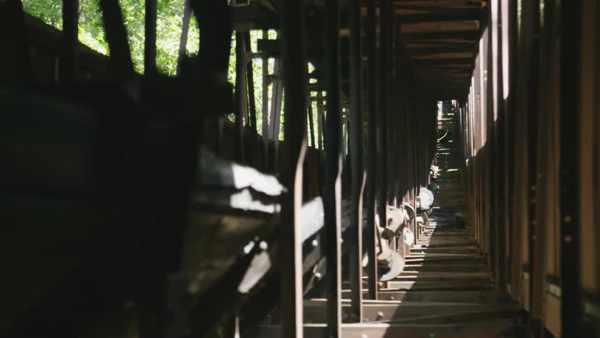 A rickety wooden building on a sunny day