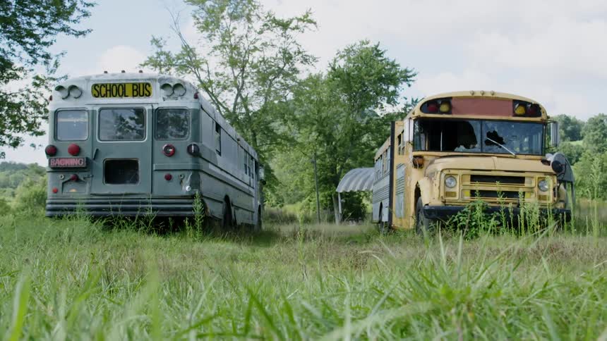 Two school buses parked in a grassy field near trees
