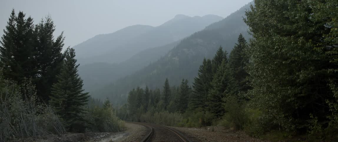 A railroad track runs through a mountain forest
