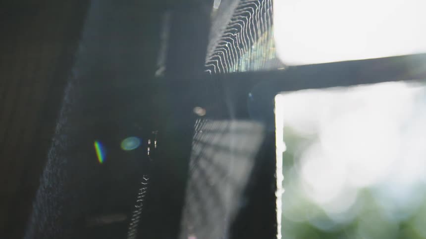 Wind blows through a spider web next to window
