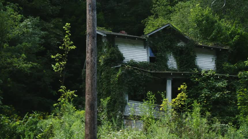 Weeds and plants are overgrowing buildings in a rural setting during the day